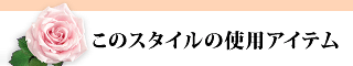 このスタイルの使用アイテム
