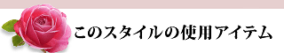 このスタイルの使用アイテム