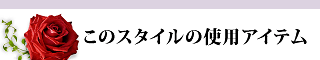このスタイルの使用アイテム