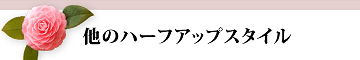 ���̃n�[�t�A�b�v�X�^�C��