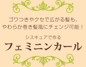 フェミニンカール フェミニンカール