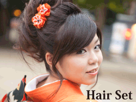 Hair Set