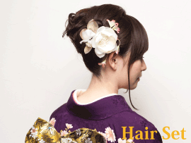 Hair Set